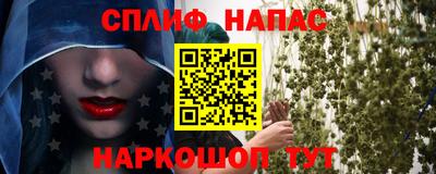 СК Балахна