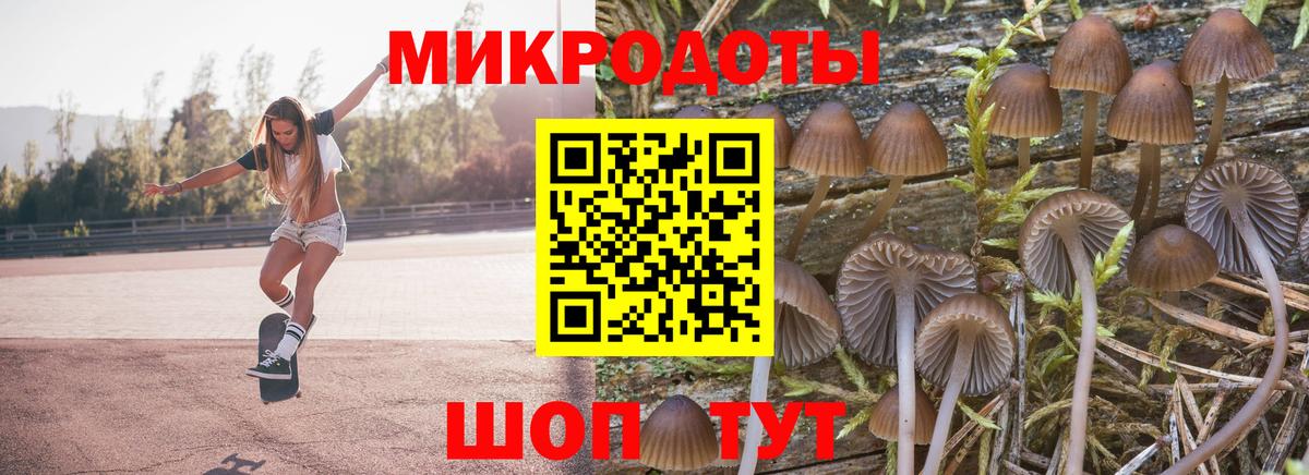 Галлюциногенные грибы Magic Shrooms Вышний Волочёк