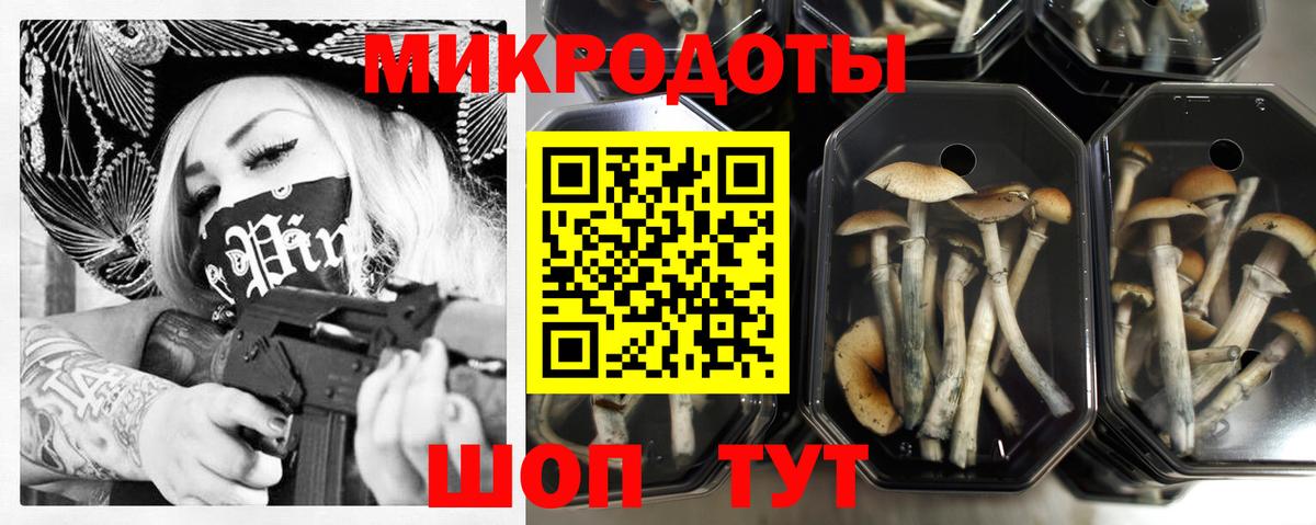 Псилоцибиновые грибы Magic Shrooms Вышний Волочёк