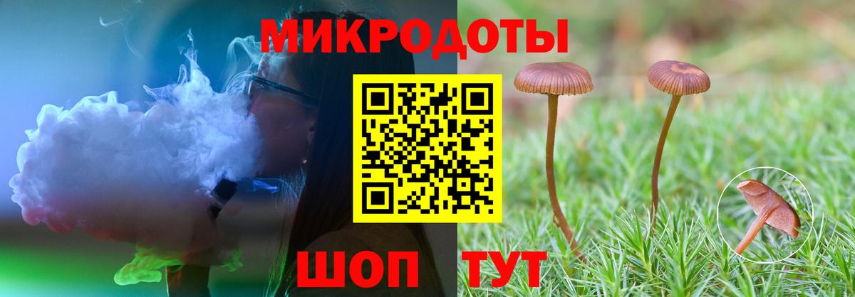 Псилоцибиновые грибы MAGIC MUSHROOMS  сколько стоит  Вход с VPN  Вышний Волочёк  Псилоцибиновые грибы прущие грибы 